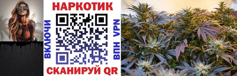 Где купить наркотики Шагонар Амфетамин  МЕФ  ГАШ 