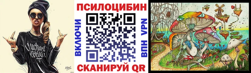 hydra сайт  Шагонар  darknet телеграм  Галлюциногенные грибы ЛСД 